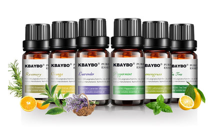 A collection of Botanical Aromatherapy Essential Oils including Rosemary, Orange, Lavender, Peppermint, and Tea Tree.