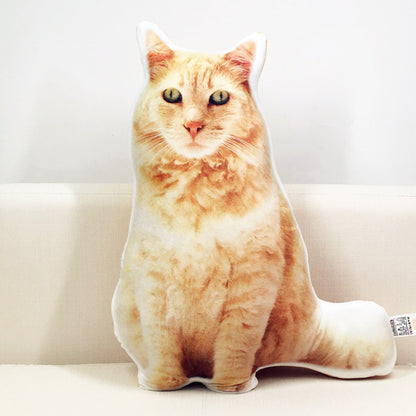 Personalized Pet Pillow – Cute DIY Gift Idea