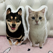 Personalized Pet Pillow – Cute DIY Gift Idea