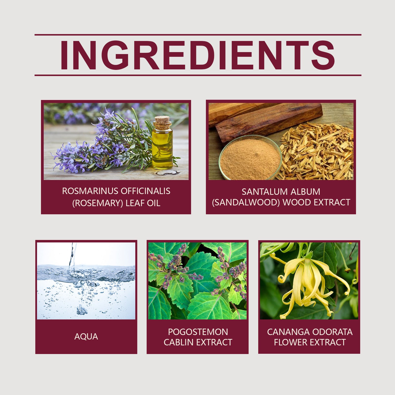 Long-lasting fragrance for men